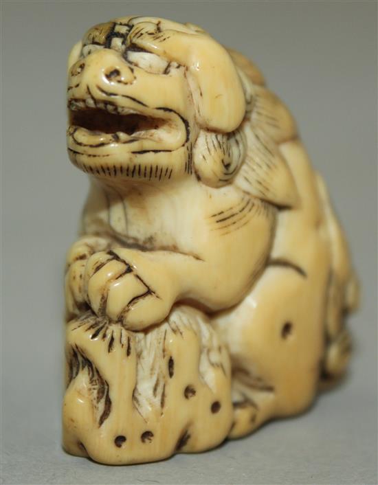 A Japanese ivory netsuke of a shi-shi, Edo period, 3.6cm